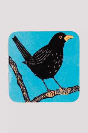 Blackbird coaster