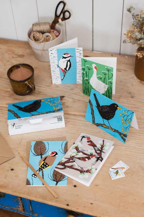 Assorted bird notecards