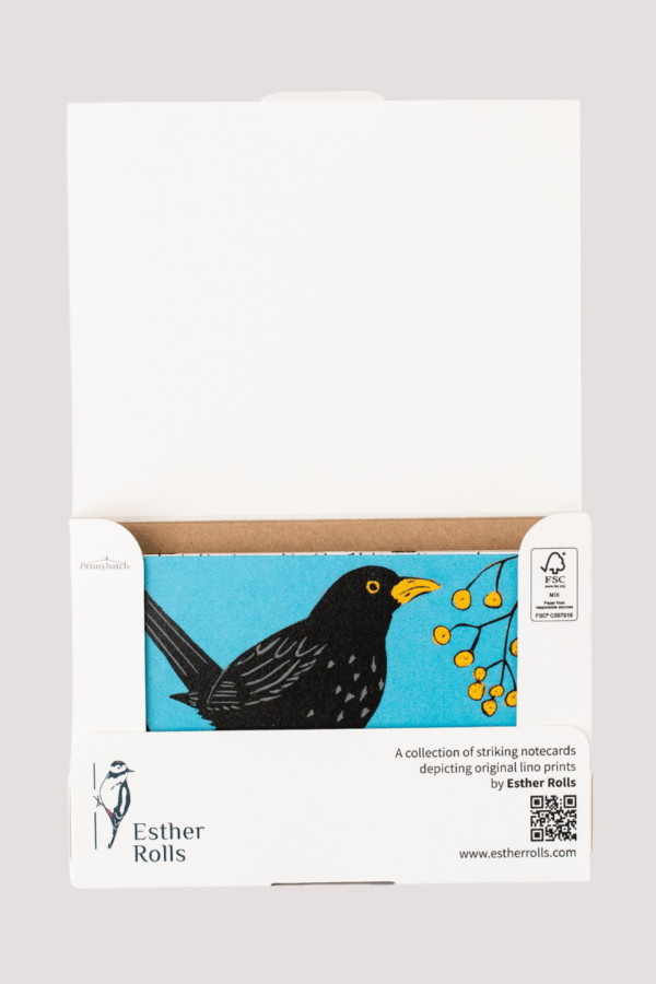 Set of bird notecards