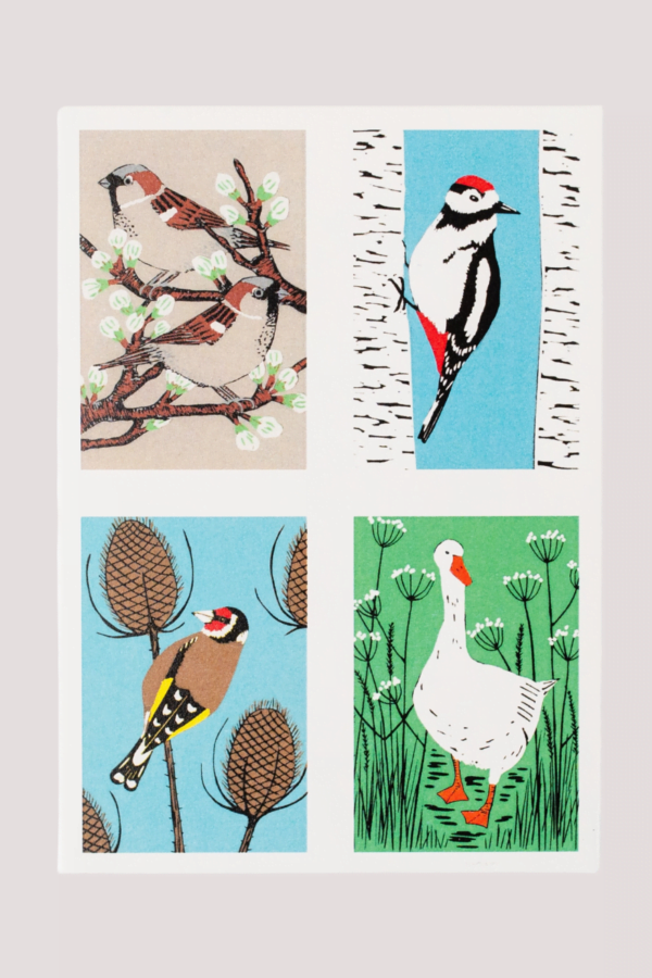 Bird notecards