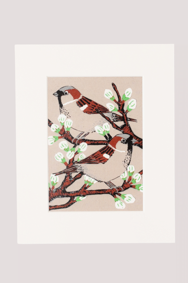 British bird Sparrow print